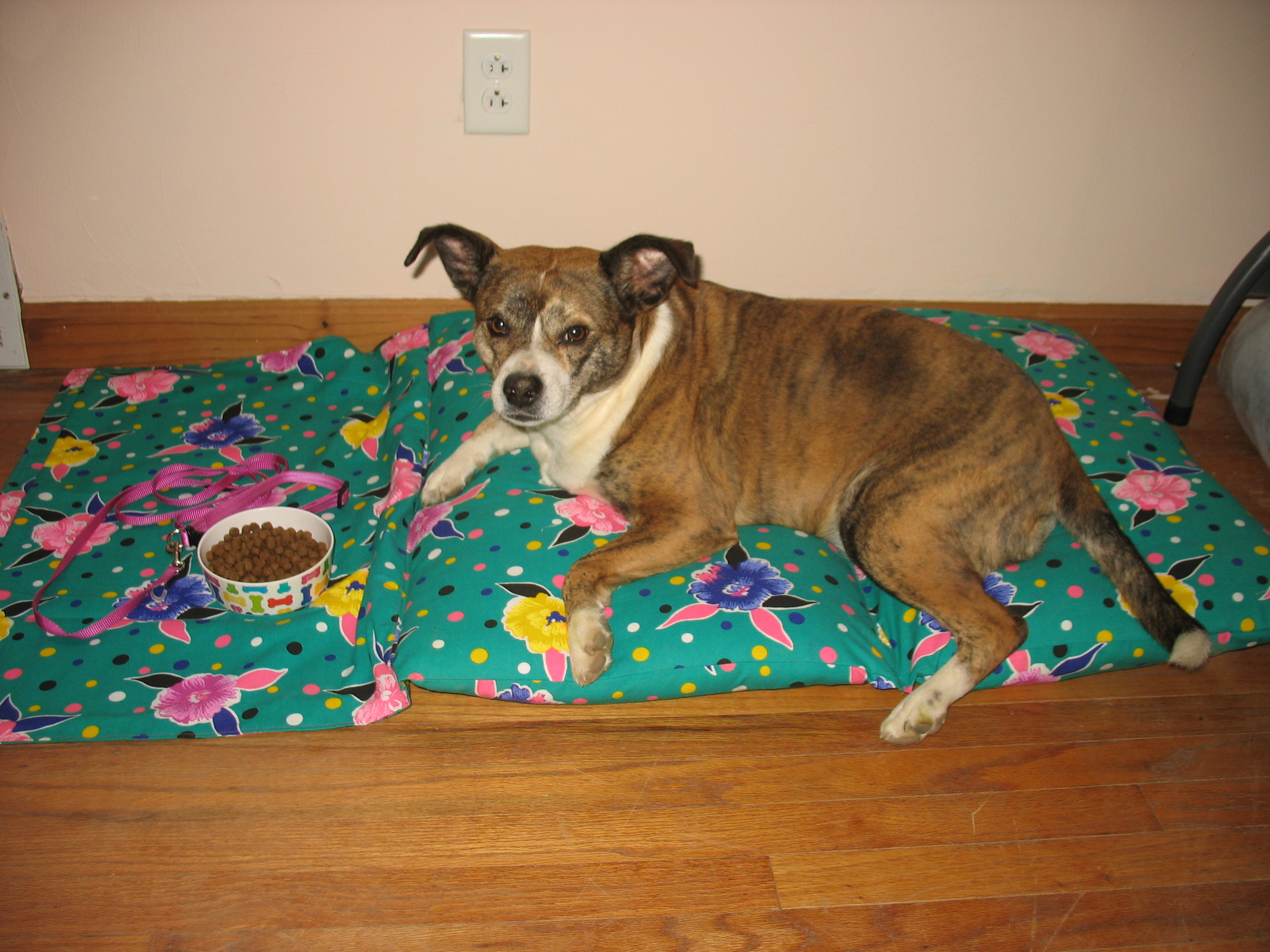 RP Doggy Bed Hack (1)